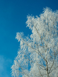 Similar image 21261886