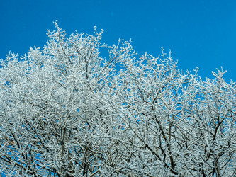 Similar image 21263268