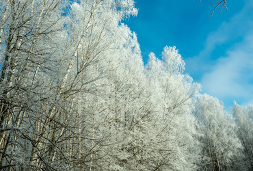 Similar image 21263269