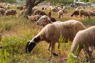 Similar image 21265643