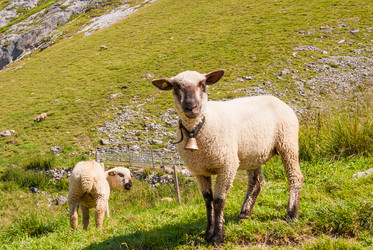 Similar image 21265647