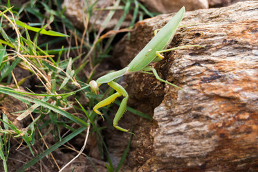 Similar image 21260192