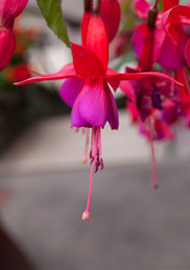 Similar image 21260394