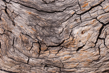 Similar image 21260400