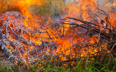 Similar image 21260693