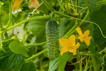 Similar image 21260694