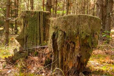 Similar image 21260703