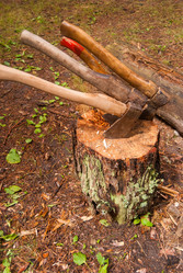 Similar image 21260704