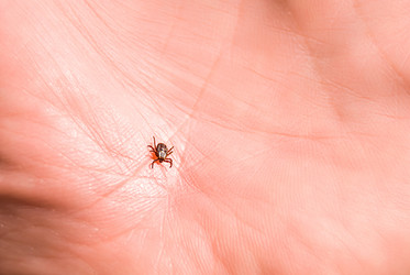 Similar image 21260967