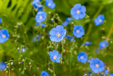 Similar image 21263271