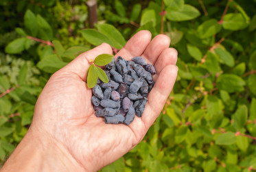 Similar image 21263807