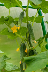 Similar image 21263810