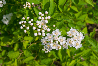 Similar image 21265028