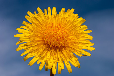 Similar image 21265652