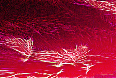 Similar image 21265654