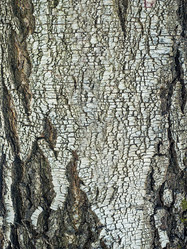 Similar image 21266587