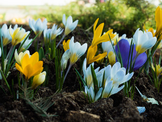 Similar image 21281812