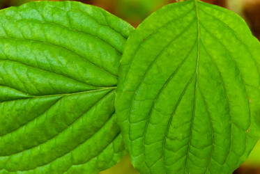 Similar image 21260194