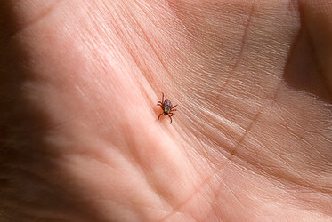 Similar image 21260402