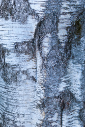 Similar image 21260407