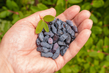 Similar image 21260410