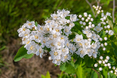 Similar image 21260713