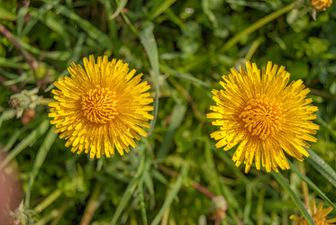 Similar image 21260715