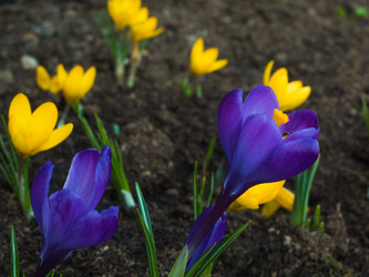 Similar image 21260975