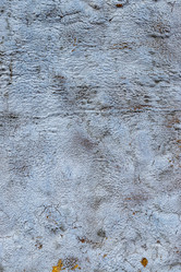 Similar image 21263272