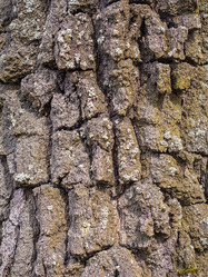 Similar image 21264633