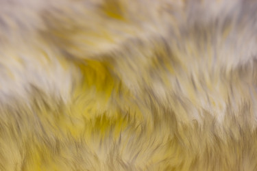 Similar image 21281815