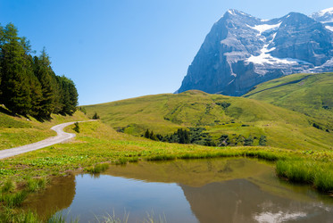 Similar image 21260719