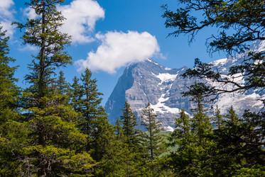 Similar image 21260977