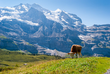 Similar image 21260982