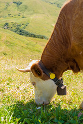 Similar image 21263274