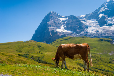 Similar image 21263275