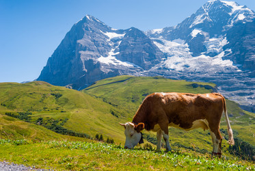 Similar image 21263822