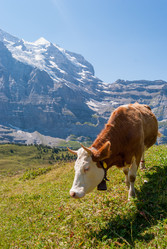 Similar image 21263825