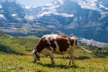 Similar image 21263827