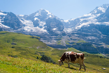 Similar image 21263828