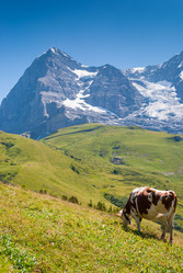 Similar image 21264637