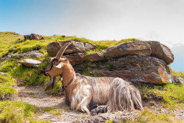 Similar image 21265664