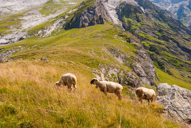 Similar image 21265666