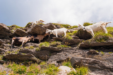 Similar image 21260721