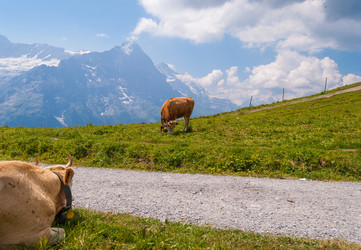 Similar image 21260727