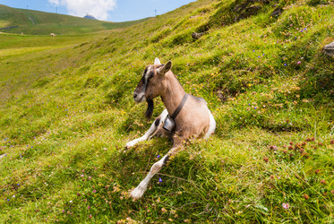 Similar image 21260734