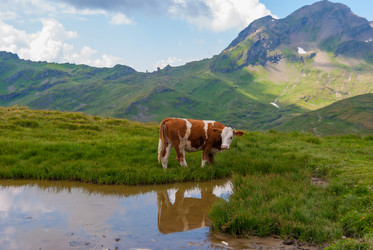 Similar image 21260735