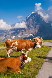 Similar image 21263276