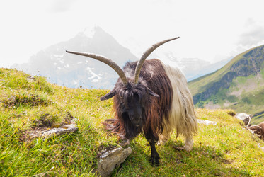 Similar image 21263830