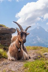 Similar image 21263831